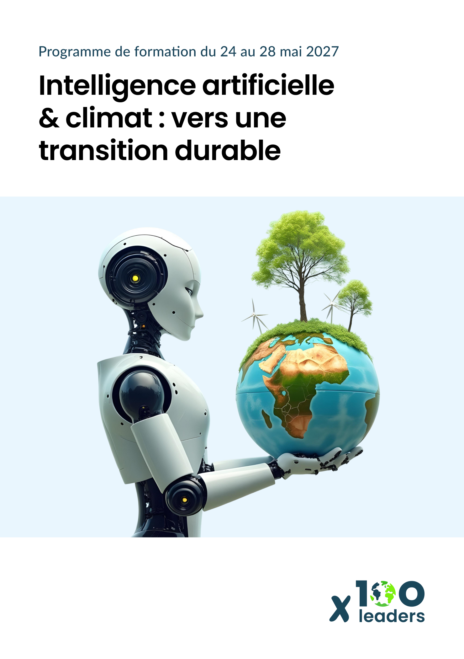 Image de présentation de programme IA & Climat